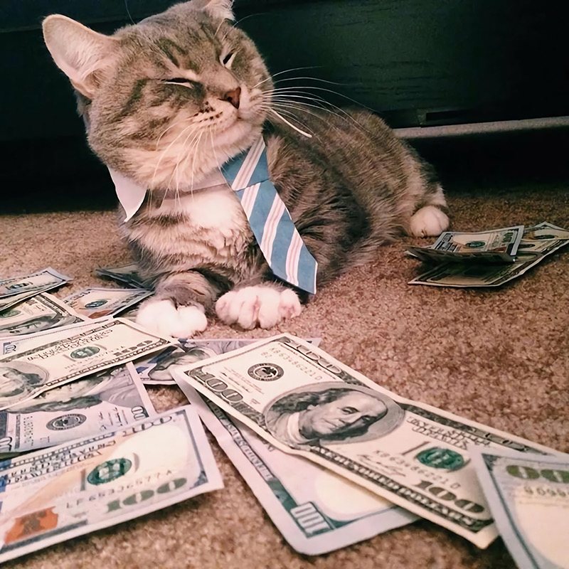 专题  付费精品-美图丝域